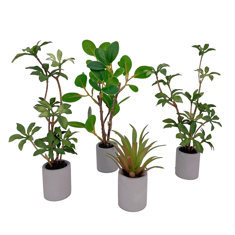 Bonsai Gardenia - 1:6 Casa delle bambole in miniatura