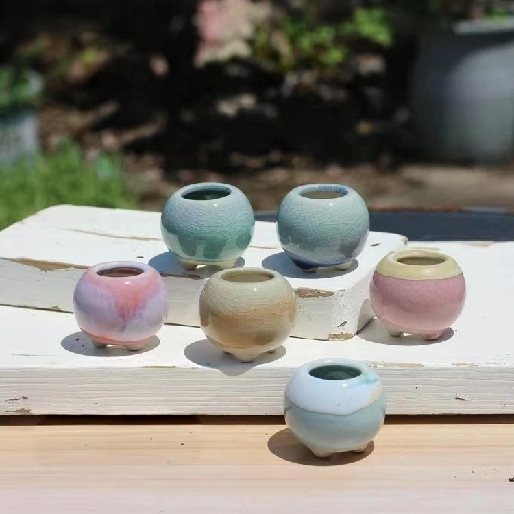 Bonsai Gardenia - 6 pezzi mini vaso da fiori