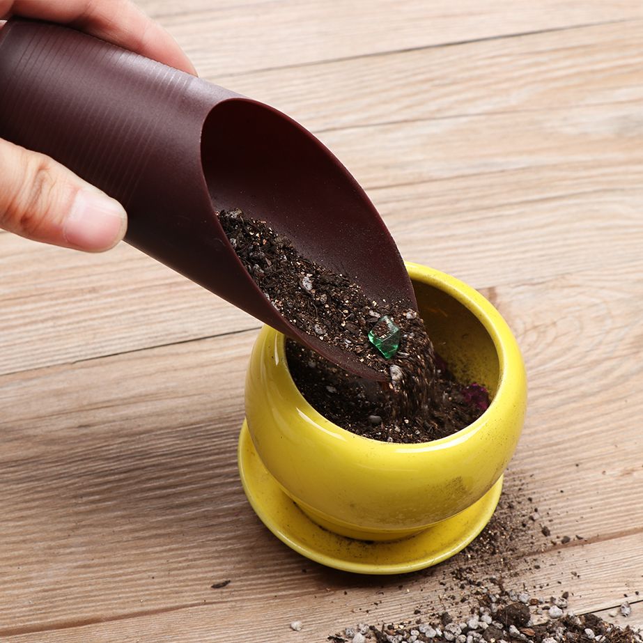 Bonsai Gardenia - 1 pz plastica terreno pala tazza