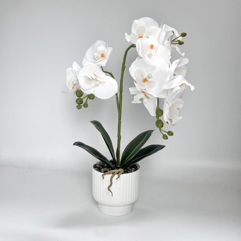 Orchidea a Farfalla Simulata M - Bonsai Garden Zen recensione e prezzo