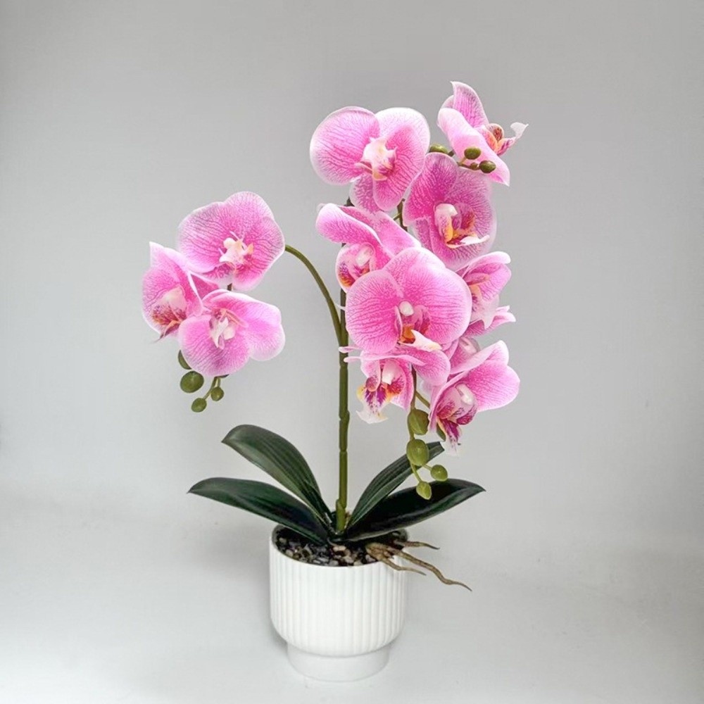 Orchidea a Farfalla Simulata M - Bonsai Garden Zen recensione e prezzo