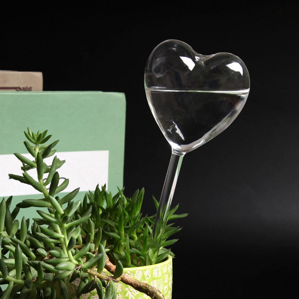 Set di 3 Sfere in Vetro a Form - Bonsai Gardenia recensione e prezzo