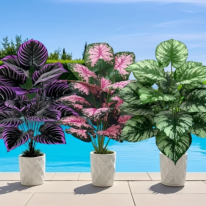 3 pz 60 cm Grande Pianta Verde - Bonsai Gardenia recensione e prezzo