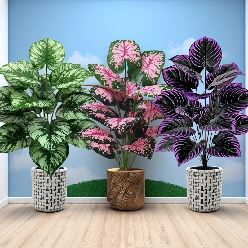 3 pz 60 cm Grande Pianta Verde - Bonsai Gardenia recensione e prezzo