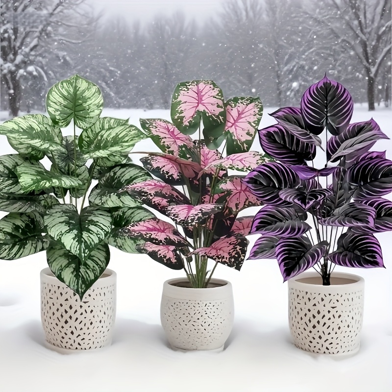 3 pz 60 cm Grande Pianta Verde - Bonsai Gardenia recensione e prezzo