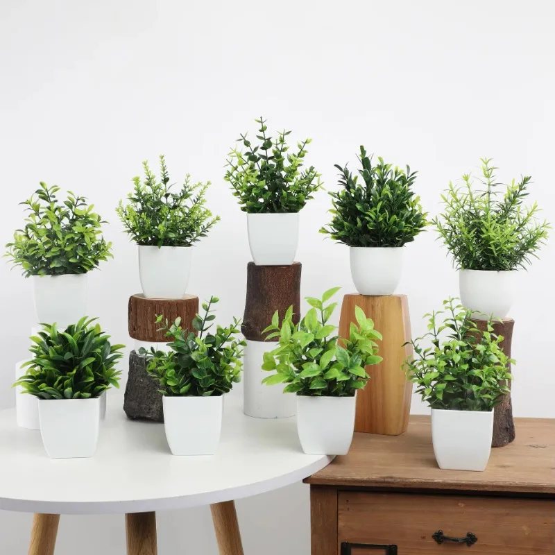 Mini piante artificiali in vas - Bonsai Garden Zen recensione e prezzo