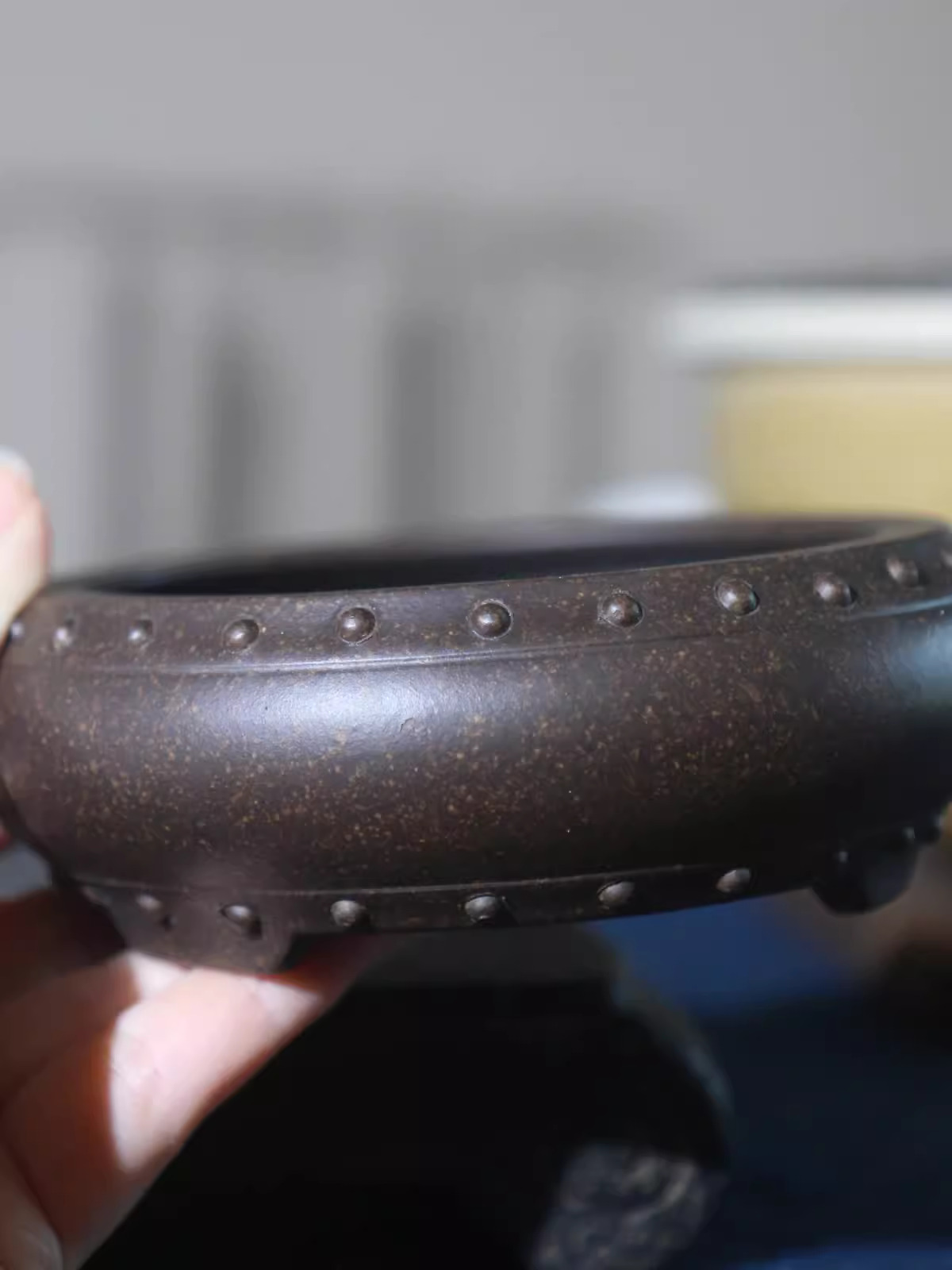 Vaso per bonsai circolare in c - Bonsai Gardenia recensione e prezzo
