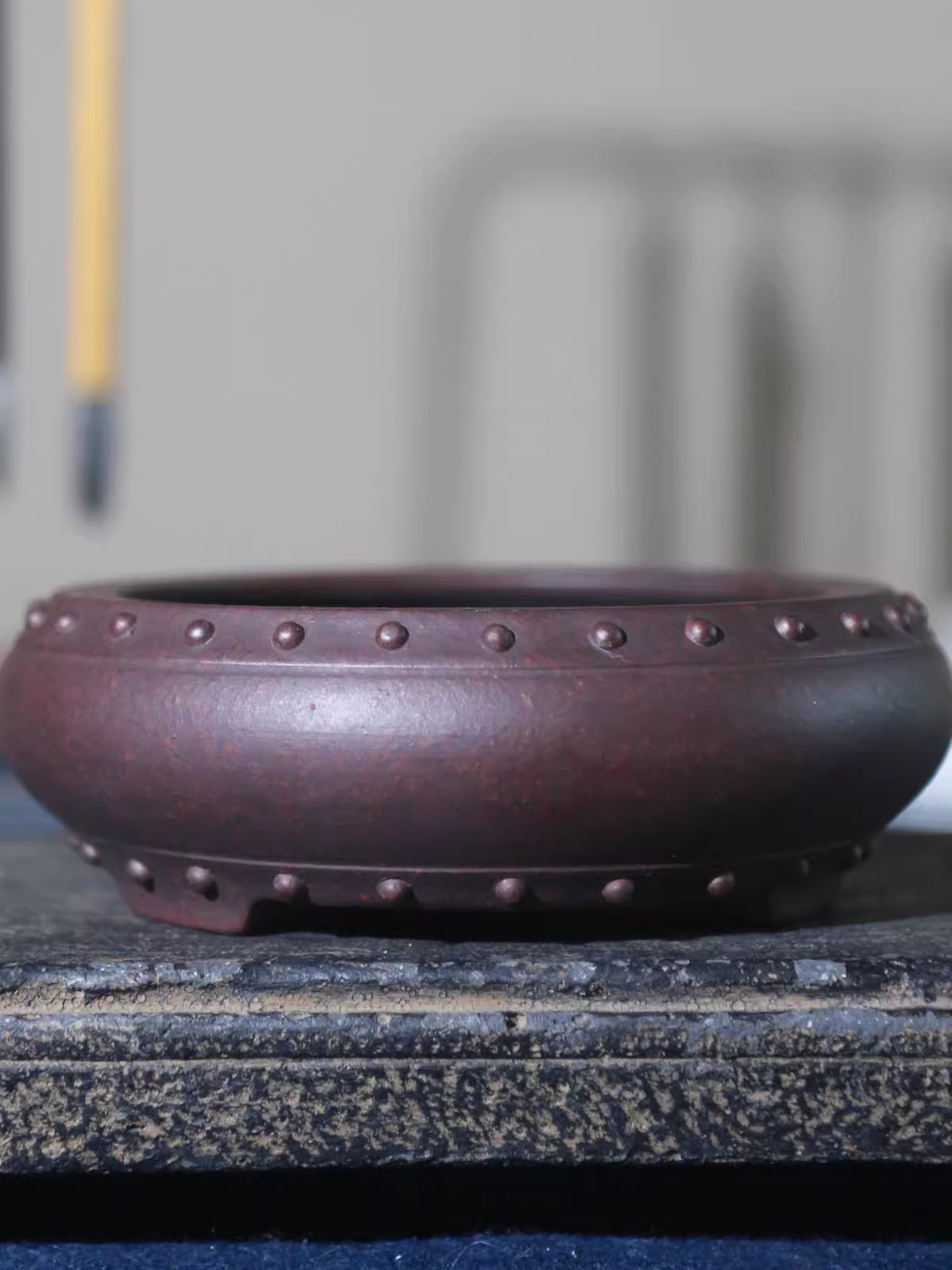 Vaso per bonsai circolare in c - Bonsai Gardenia recensione e prezzo