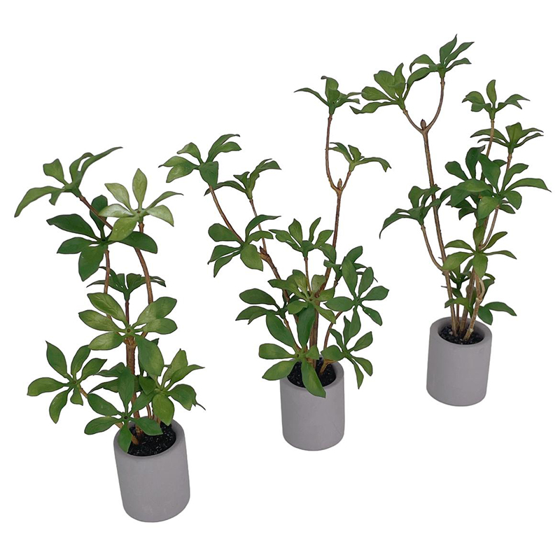 1:6 Casa delle bambole in mini - Bonsai Gardenia recensione e prezzo