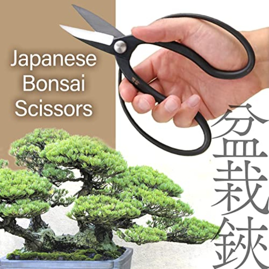 Forbici Giapponesi per Bonsai  - Bonsai Garden In Japan recensione e prezzo