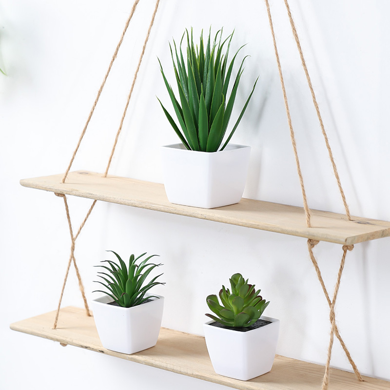 (U set di 3 pezzi) Mini piante - Bonsai Garden Zen recensione e prezzo