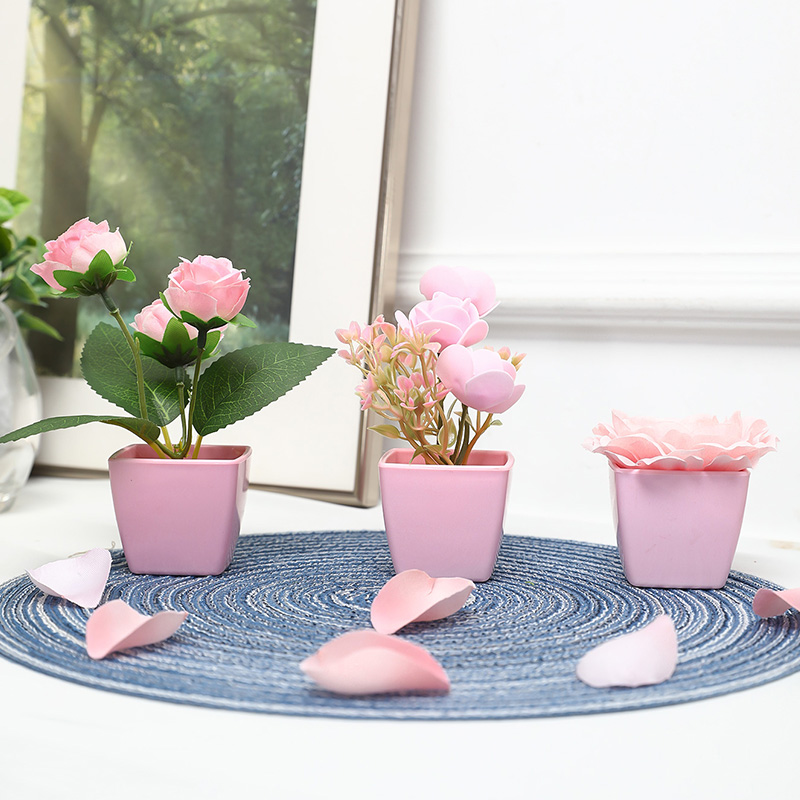 (U set di 3 pezzi) Mini piante - Bonsai Garden Zen recensione e prezzo