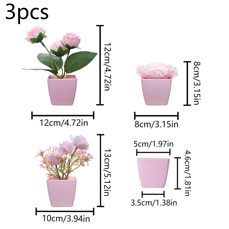 (U set di 3 pezzi) Mini piante - Bonsai Garden Zen recensione e prezzo