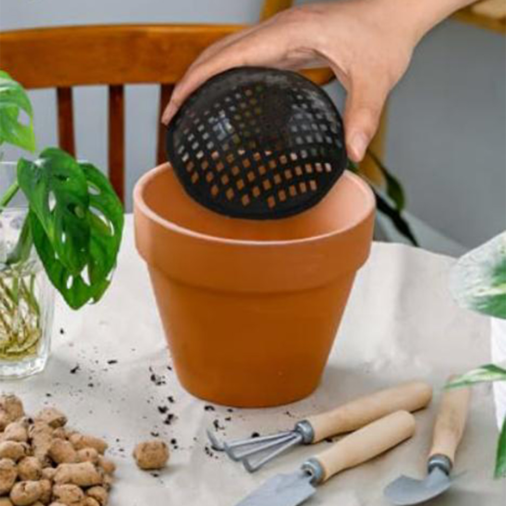 20/30 Pezzi Rete a Maglia per  - Bonsai Garden Zen recensione e prezzo