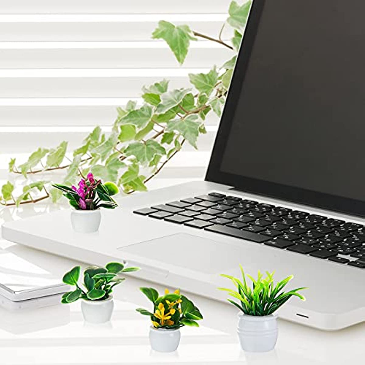 Pianta per casa delle bambole, - Bonsai Garden Zen recensione e prezzo