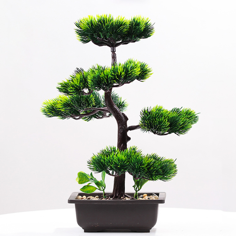 Piante artificiali Bellezza Pi - Bonsai Garden Zen recensione e prezzo