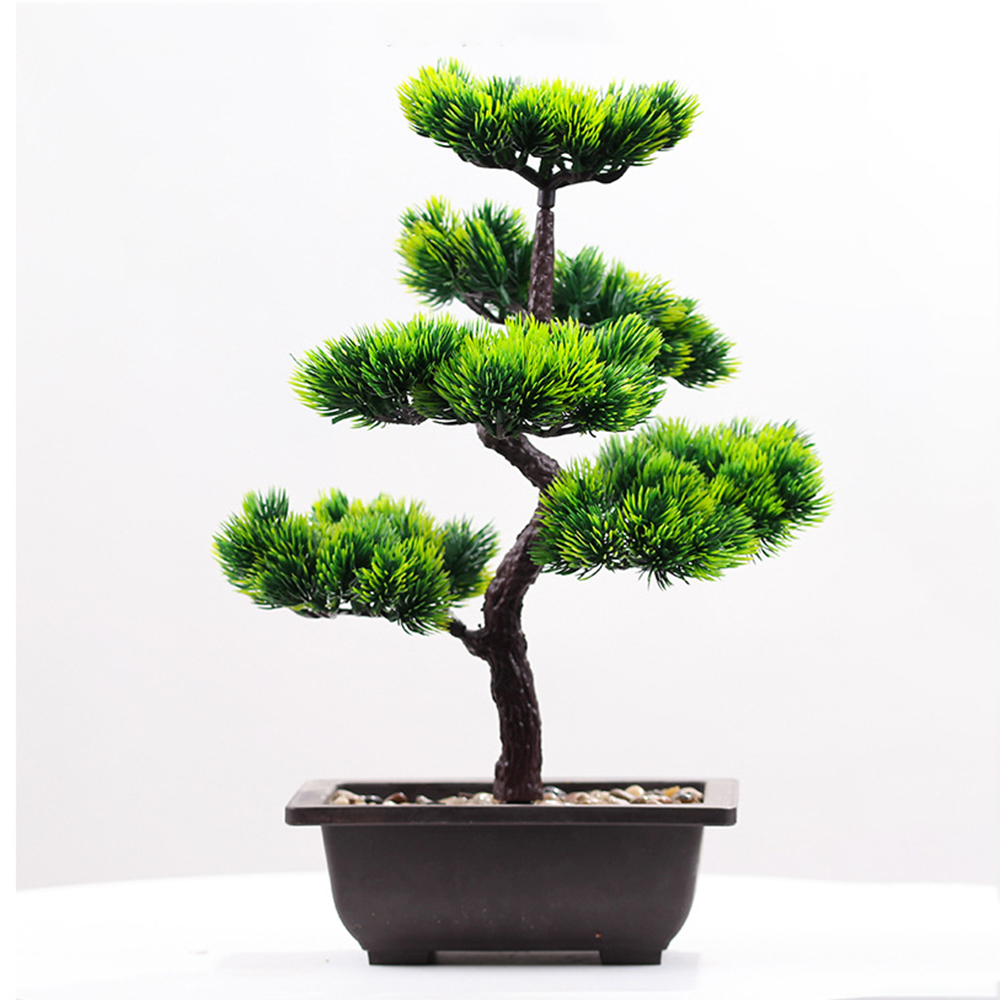 Piante artificiali Bellezza Pi - Bonsai Garden Zen recensione e prezzo