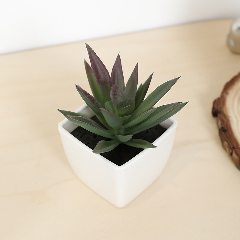 Mini tazza di fata artificiale - Bonsai Garden Zen recensione e prezzo
