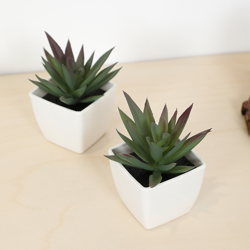 Mini tazza di fata artificiale - Bonsai Garden Zen recensione e prezzo