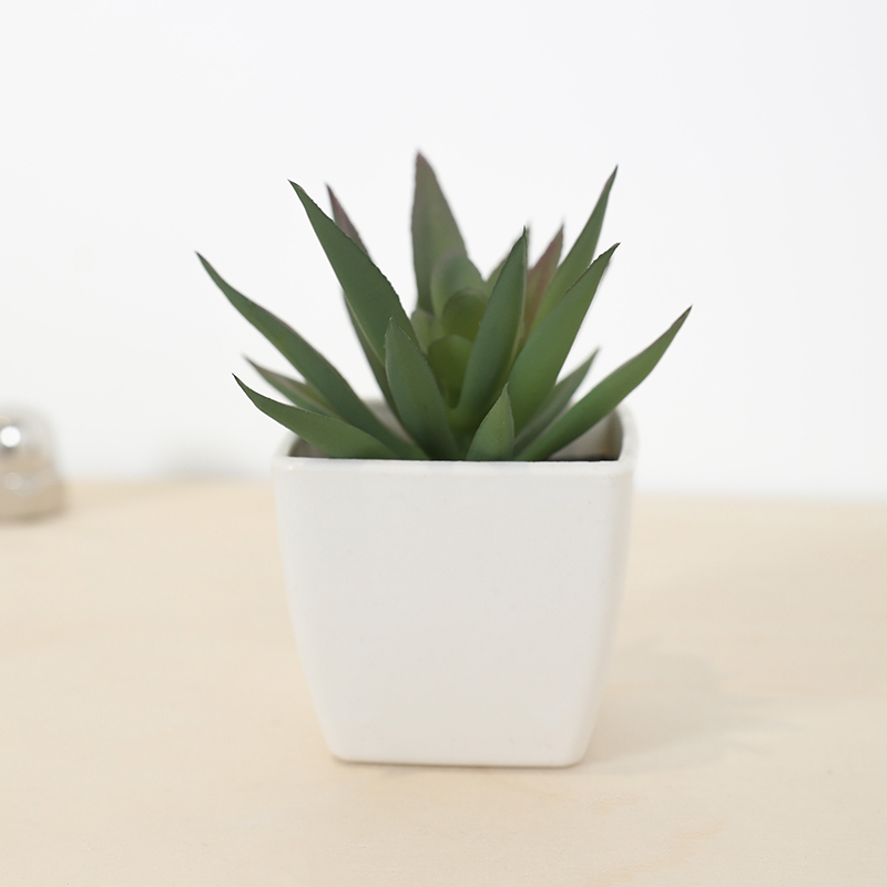 Mini tazza di fata artificiale - Bonsai Garden Zen recensione e prezzo