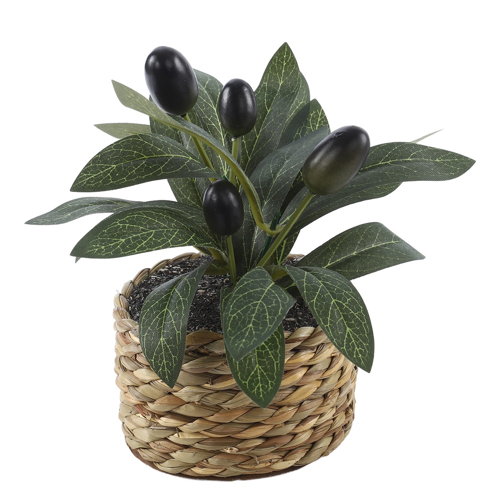 Piante Artificiali, Albero di  - Bonsai Garden Zen recensione e prezzo