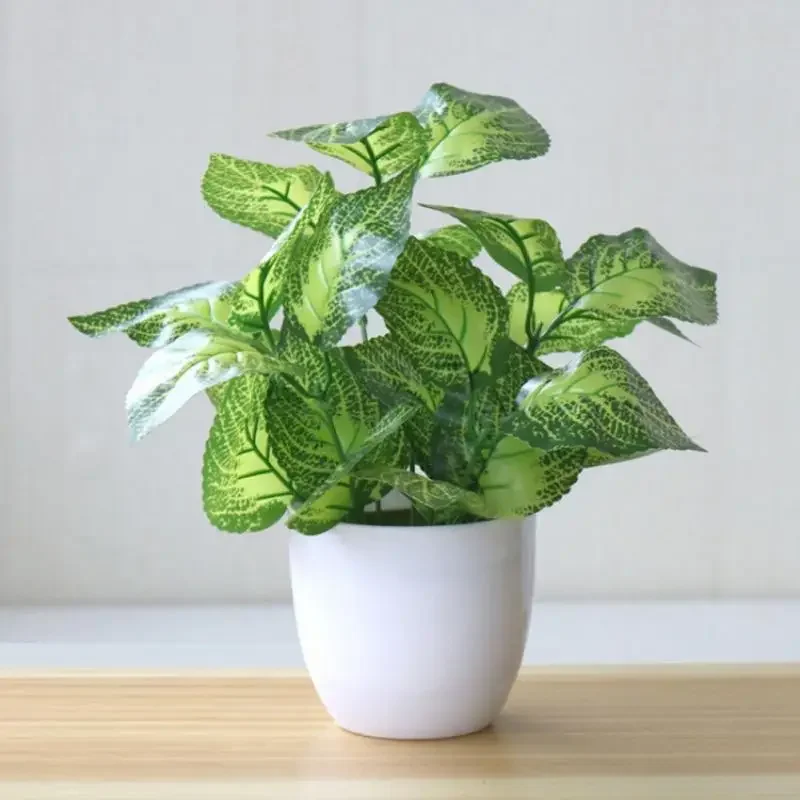 Piante artificiali Bonsai Pian - Bonsai Garden Zen recensione e prezzo