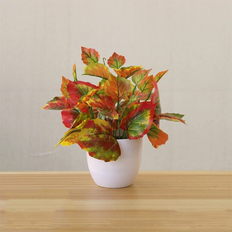 Piante artificiali Bonsai Pian - Bonsai Garden Zen recensione e prezzo