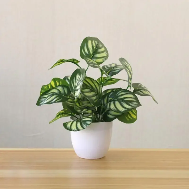 Piante artificiali Bonsai Pian - Bonsai Garden Zen recensione e prezzo