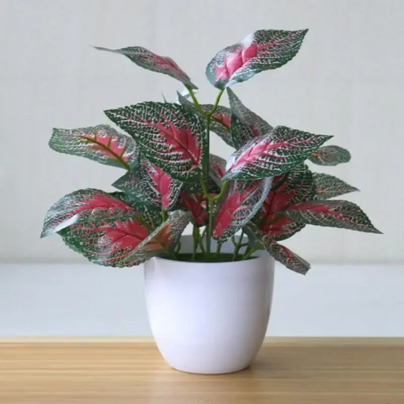 Piante artificiali Bonsai Pian - Bonsai Garden Zen recensione e prezzo