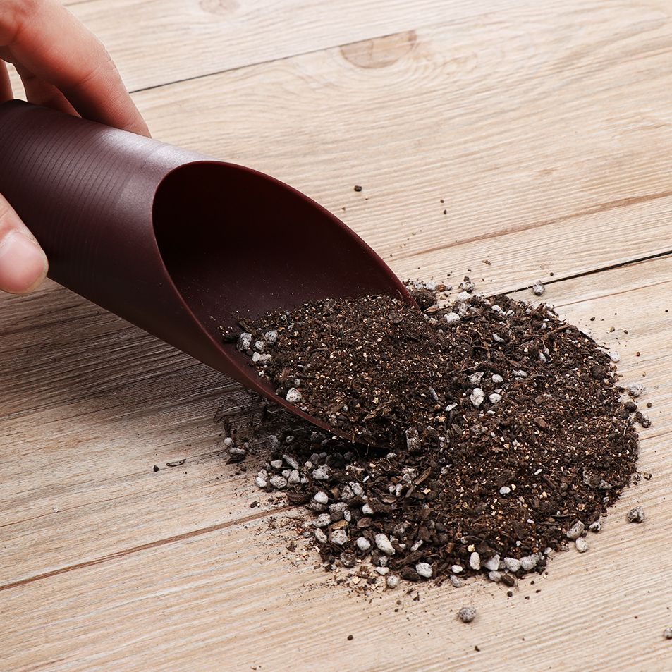 1 pz plastica terreno pala taz - Bonsai Gardenia recensione e prezzo
